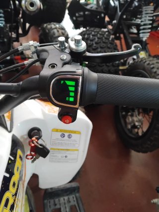 Mini Quad Eléctrico Roan Ratte 800W 36V