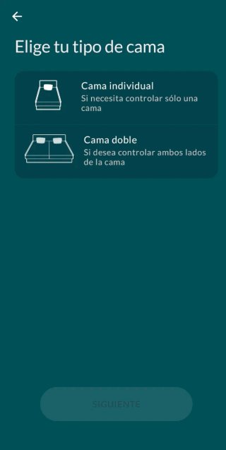 Cama Articulada Metálica y madera