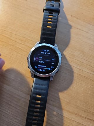 Garmin Fenix 7 Plata de 47 mm