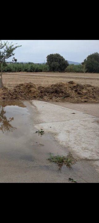 Se regala estiércol de caballo