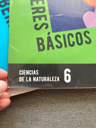 Saberes basicos 6 Sexto Primaria Edelvives