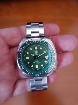 STEELDIVE CAPITAL WILAR Reloj Automático Verde
