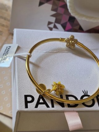 Pulsera Pandora y charm enredados