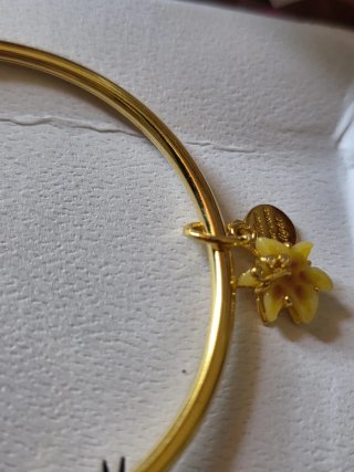 Pulsera Pandora y charm enredados