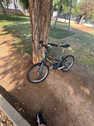 Bicicleta Infantil Orion Golden Kid es de niños
