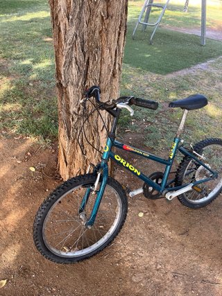 Bicicleta Infantil Orion Golden Kid es de niños