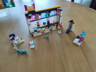 Lotto Lego Friends