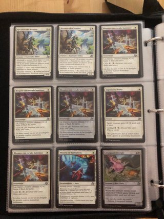 Collezione Carte Magic: The Gathering
