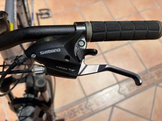Bicicleta Avalanche 3.0