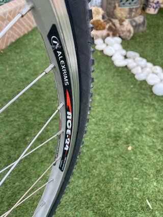 Bicicleta Louis Garneau para Adulto