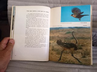 El Mundo de los Niños. Enciclopedia infantil