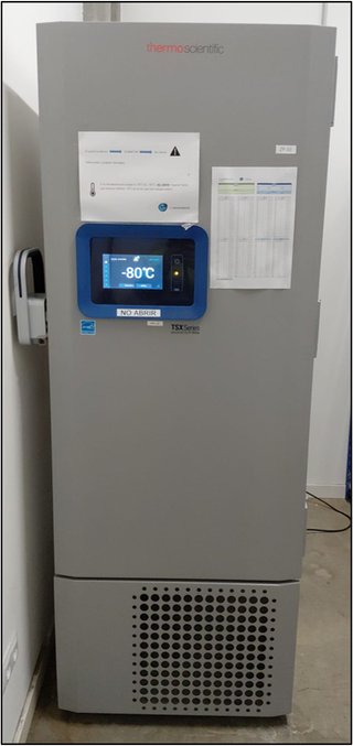 Ultracongelador Thermo Scientific -80°C