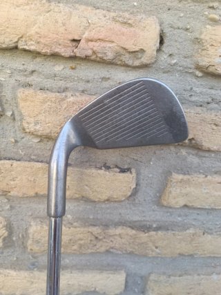 Palo de golf Wilson 1200 LT