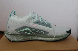 Zapatillas Nike Pegasus Trail GTX Nuevas