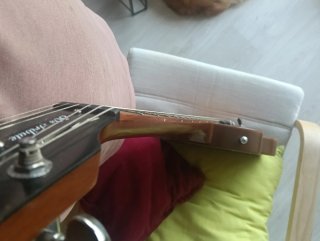 Guitarra Les Paul Tribute 50 P90