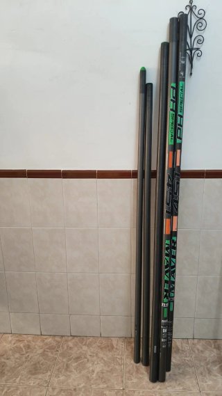 Caña Maver PH 451