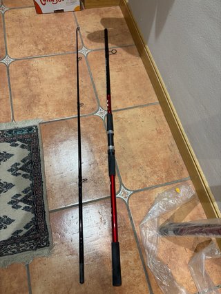 Caña de pesca de siluro