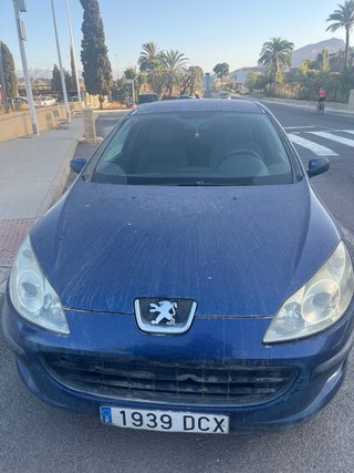 Peugeot 407 2004