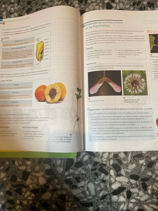 Biología y geología, ciencias, Bachillerato 1