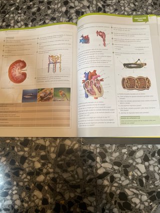 Biología y geología, ciencias, Bachillerato 1