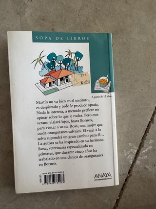 Un verano en Borneo