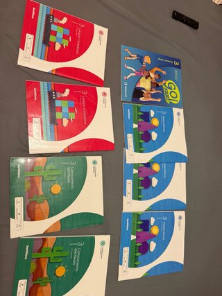 Lote Libros Santillana 3 Primaria