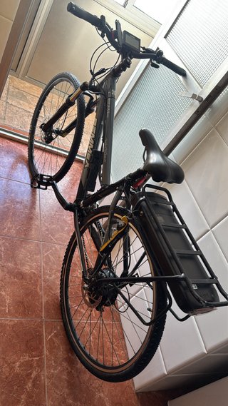 Bicicleta Eléctrica Gris