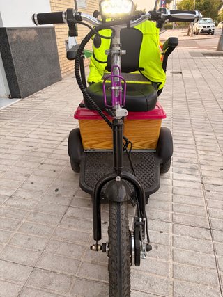 Patinete Eléctrico 3 Ruedas