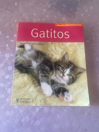 Gatitos
