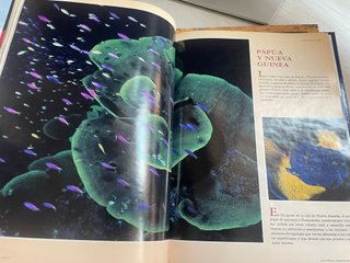 Libros National Geographic Reinos del Mar y Animal
