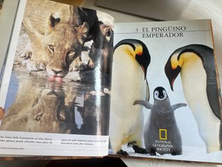 Libros National Geographic Reinos del Mar y Animal