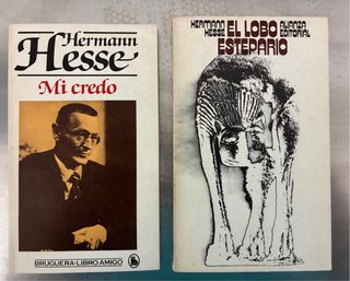 Libros en español (caja 16)