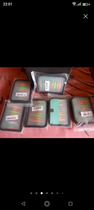Estuche con 10 señuelos de pesca