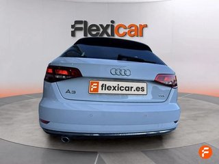 Audi A3 design edition 1.6 TDI Sportback