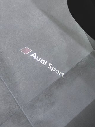 Audi RS3 2019
