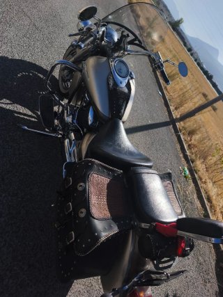 Yamaha DragStar 1100