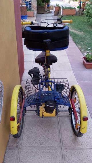 Triciclo Ortopédico Draisin Movilidad Red