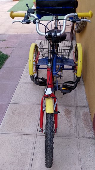Triciclo Ortopédico Draisin Movilidad Red