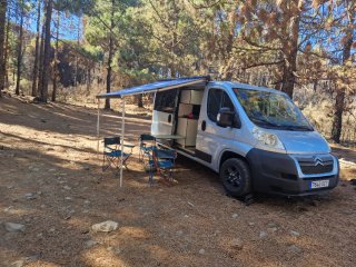 Citroen Jumper/ renault trafic