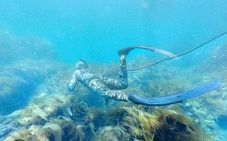 Equipo Pesca Submarina