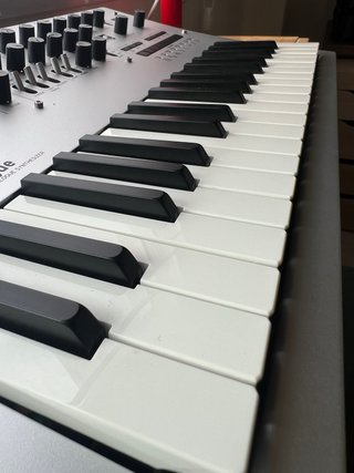 Korg Minilogue + Decksaver