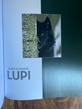 L'arte di essere lupi - Anne Ménatory