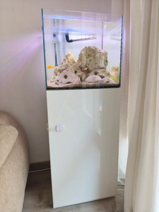 Acuario 80L + Mueble en Barcelona
