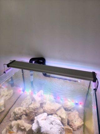 Acuario 80L + Mueble en Barcelona