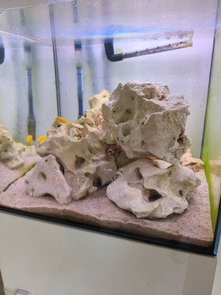 Acuario 80L + Mueble en Barcelona