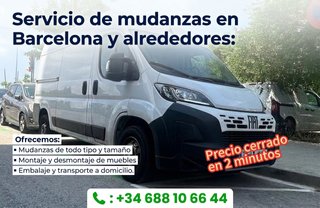 Mudanzas profesionales económicas