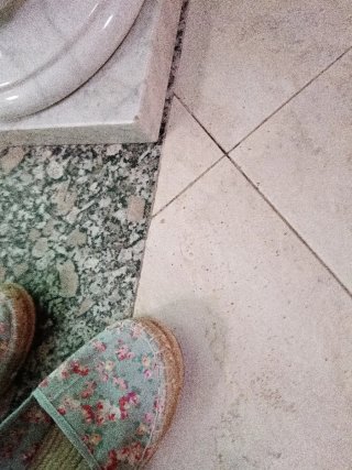 Zapatillas Esparto Mujer Estampadas
