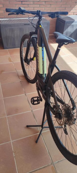 Bicicleta eléctrica