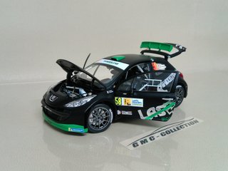 Peugeot 207 S2000 Monza Rally Show Sun-Star 1/18