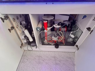 Acuario marino waterbox